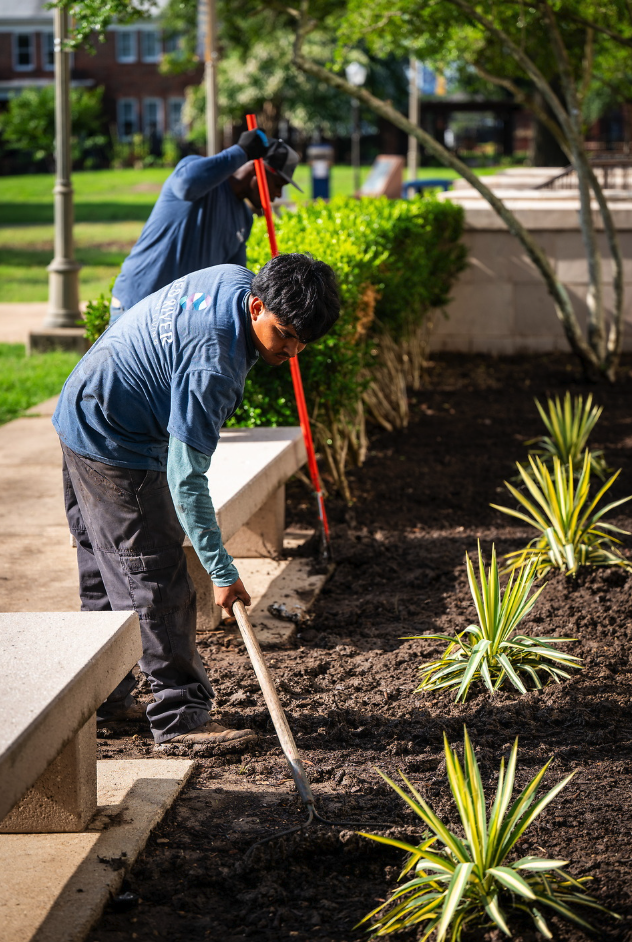 Two men in blue shirts using tools to dig in the soil.